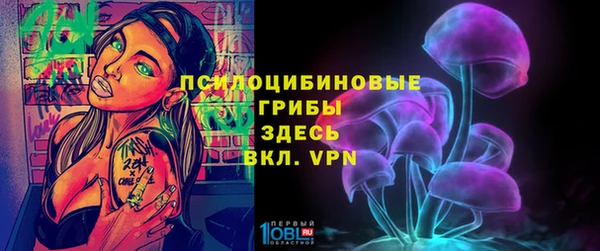 мяу мяу мука Алексин