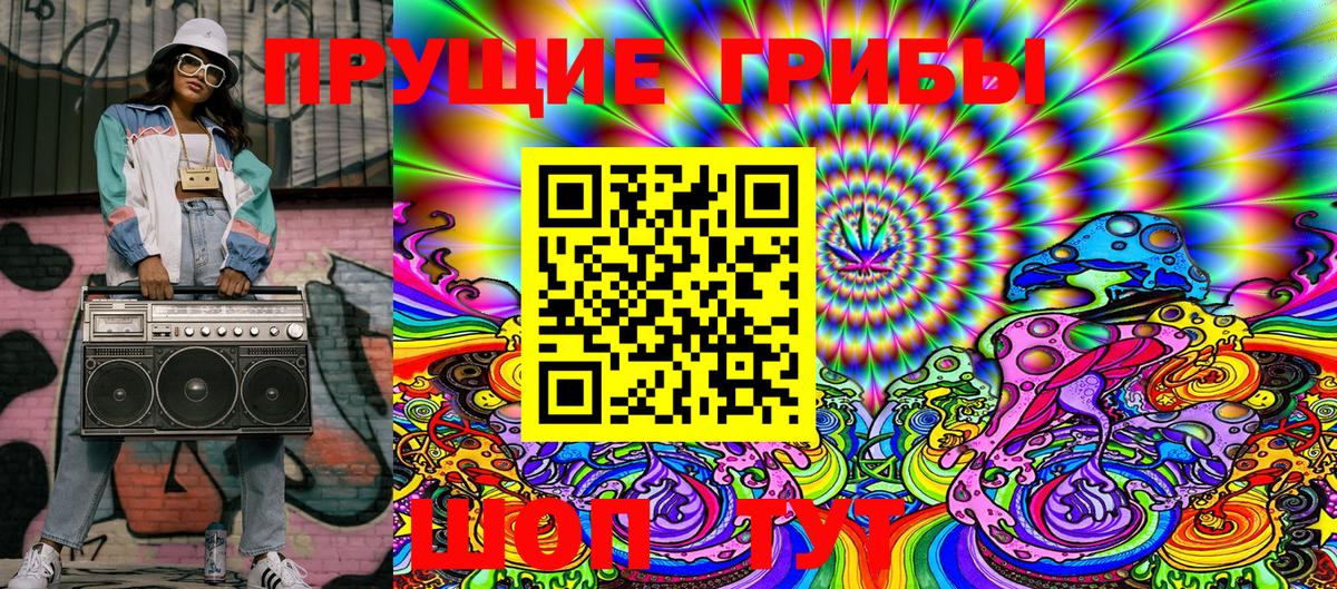 Псилоцибиновые грибы Cubensis  где продают   Псилоцибиновые грибы GOLDEN TEACHER  Ступино 