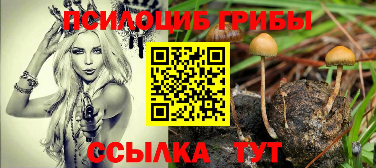 Галлюциногенные грибы Cubensis  Вход с VPN  Ступино 