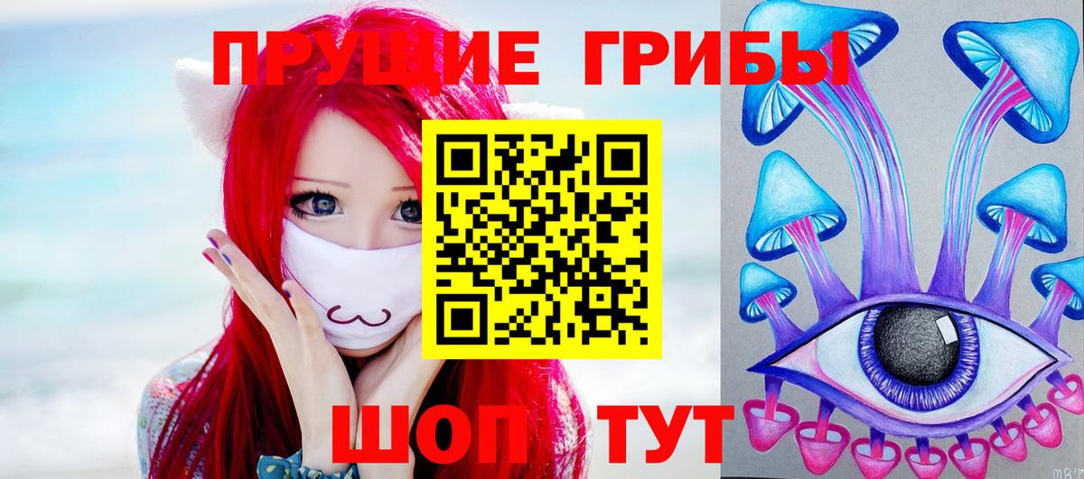 Псилоцибиновые грибы Psilocybe Ступино